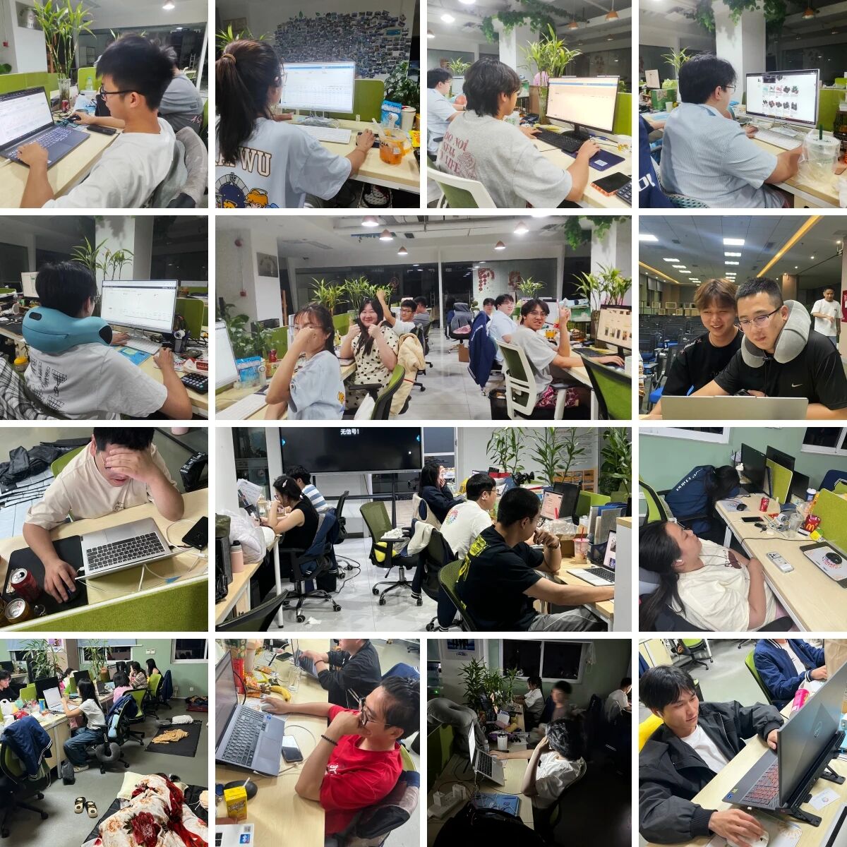 微信图片_2026-06-25_110118_793.jpg